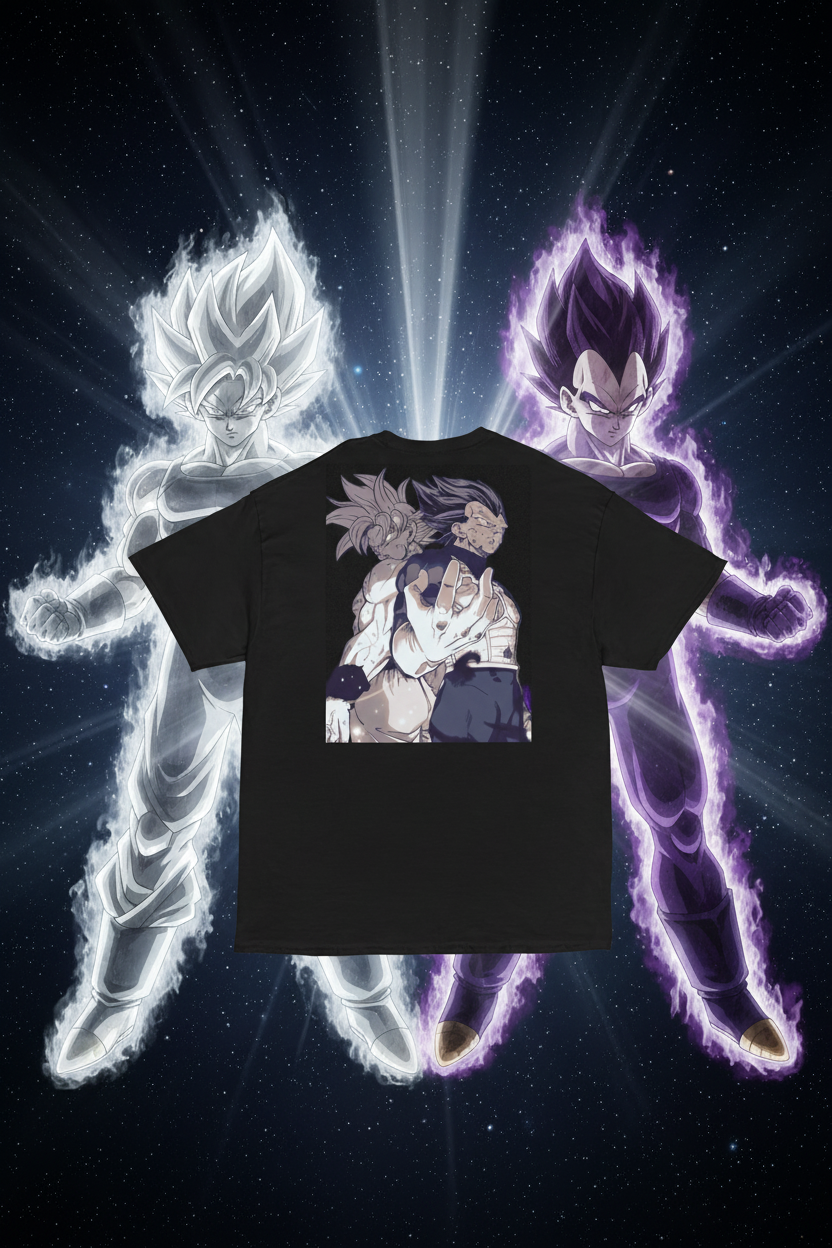 Saiyan Legacy Two Gods